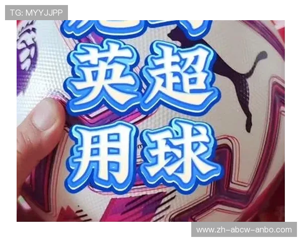 英超联赛中使用彪马品牌的球队球衣介绍