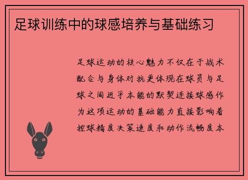 足球训练中的球感培养与基础练习